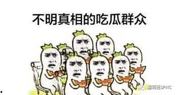 吃瓜群众哪里看最新视频,吃瓜群众必看！最新视频资讯速递