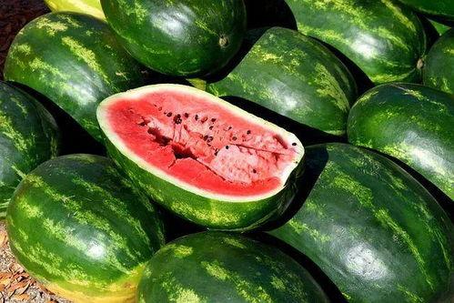 美食吃瓜视频素材大全下载,一网打尽各式美味瞬间