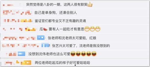 张艺兴吃瓜舞蹈风暴视频,舞蹈风暴舞台惊喜连连